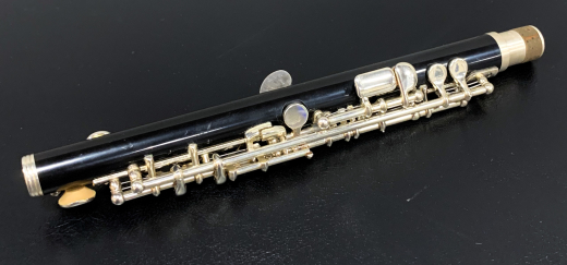 Store Special Product - Yamaha Band - Standard Piccolo - ABS Resin